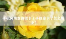 手机突然变得很卡（手机变卡了怎么解决）