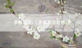 手机显示x（手机显示信号x）