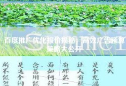 百度推广优化报价揭秘，高效广告预算策略大公开