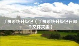 手机系统升级包（手机系统升级包在哪个文件夹里）