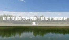 风喵加速器变速齿轮手机版「风喵加速器」