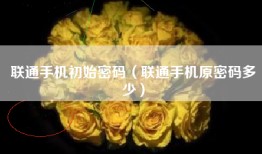 联通手机初始密码（联通手机原密码多少）