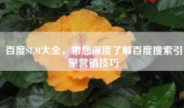 百度SEM大全，带您深度了解百度搜索引擎营销技巧