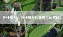 186手机号（186手机号码是哪个运营商）