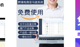 Shopeeerp跨境电商产品采集软件(Shopeeerp跨境电商平台数据采集)
