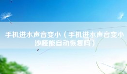 手机进水声音变小（手机进水声音变小沙哑能自动恢复吗）