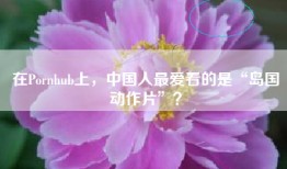 在hub上，中国人最爱看的是“岛国动作片”？