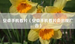安卓手机看片（安卓手机看片会出现广告）