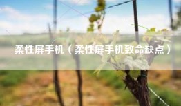 柔性屏手机（柔性屏手机致命缺点）