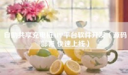 自助共享充电桩APP平台软件开发（源码部署 快速上线）