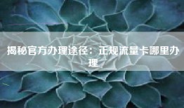 揭秘官方办理途径：正规流量卡哪里办理