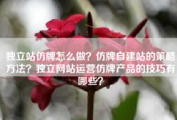 独立站仿牌怎么做？仿牌自建站的策略方法？独立网站运营仿牌产品的技巧有哪些？