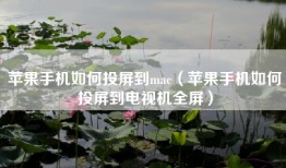 苹果手机如何投屏到mac（苹果手机如何投屏到电视机全屏）