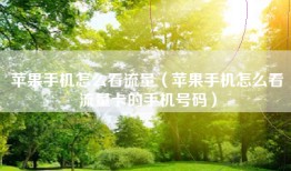 苹果手机怎么看流量（苹果手机怎么看流量卡的手机号码）