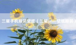 三星手机原装壁纸（三星galaxy壁纸原装）