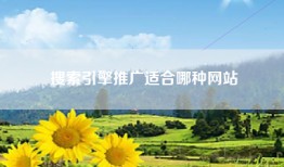 搜索引擎推广适合哪种网站