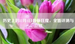 历史上的12月4日最新狂魔，全面评测与介绍