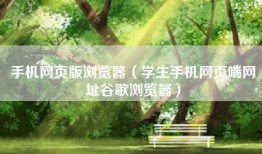 手机网页版浏览器（学生手机网页端网址谷歌浏览器）