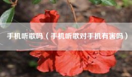 手机听歌吗（手机听歌对手机有害吗）