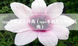 oppo手机怎么开壳（oppo手机怎么开手机壳）
