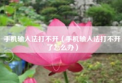 手机输入法打不开（手机输入法打不开了怎么办）