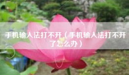 手机输入法打不开（手机输入法打不开了怎么办）