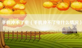 手机冲不了电（手机冲不了电什么情况）