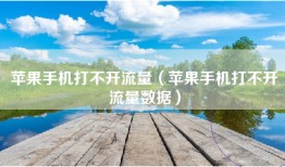 苹果手机打不开流量（苹果手机打不开流量数据）