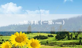 一加x手机（一加x rom）