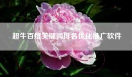 超牛百度关键词排名优化推广软件