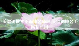 关键词搜索页面排名原理(关键词排名工具怎么用)