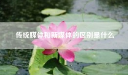 传统媒体和新媒体的区别是什么