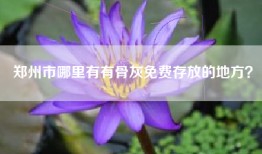 郑州市哪里有有骨灰免费存放的地方？