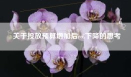 关于投放预算增加后roi下降的思考