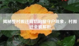 揭秘整村搬迁背后的留守户现象，村搬迁全貌解析