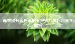高效提升客户率的客户推广优化方案全解析