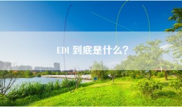 EDI 到底是什么？