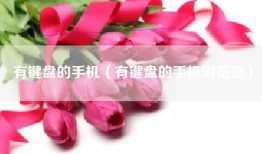 有键盘的手机（有键盘的手机浏览器）