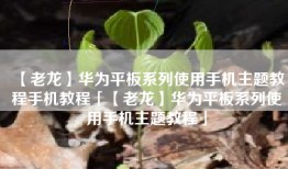 【老龙】华为平板系列使用手机主题教程手机教程「【老龙】华为平板系列使用手机主题教程」