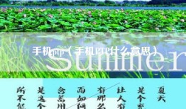 手机ptp（手机PTP什么意思）