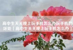 高中生天天晚上玩手机怎么办玩手机的坏处「高中生天天晚上玩手机怎么办」