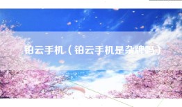 铂云手机（铂云手机是杂牌吗）