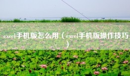 excel手机版怎么用（excel手机版操作技巧）