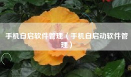 手机自启软件管理（手机自启动软件管理）