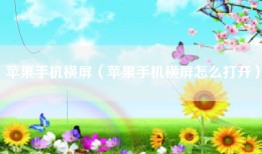 苹果手机横屏（苹果手机横屏怎么打开）