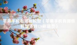 苹果手机有哪些机型（苹果手机有哪些机型支持120刷新率）
