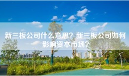 新三板公司什么意思？新三板公司如何影响资本市场？