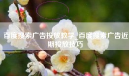 百度搜索广告投放教学_百度搜索广告近期投放技巧