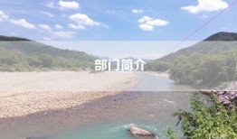 部门简介