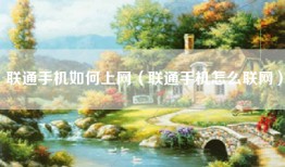 联通手机如何上网（联通手机怎么联网）